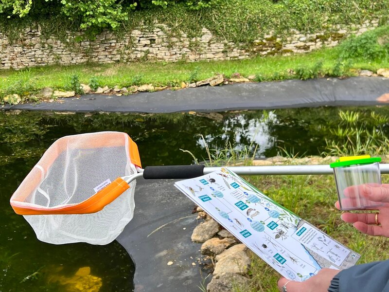 Pond dipping - The pond, a telescopic net and an identification card